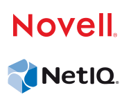 AMI Praha se stala partnerem společností Novell a NetIQ
